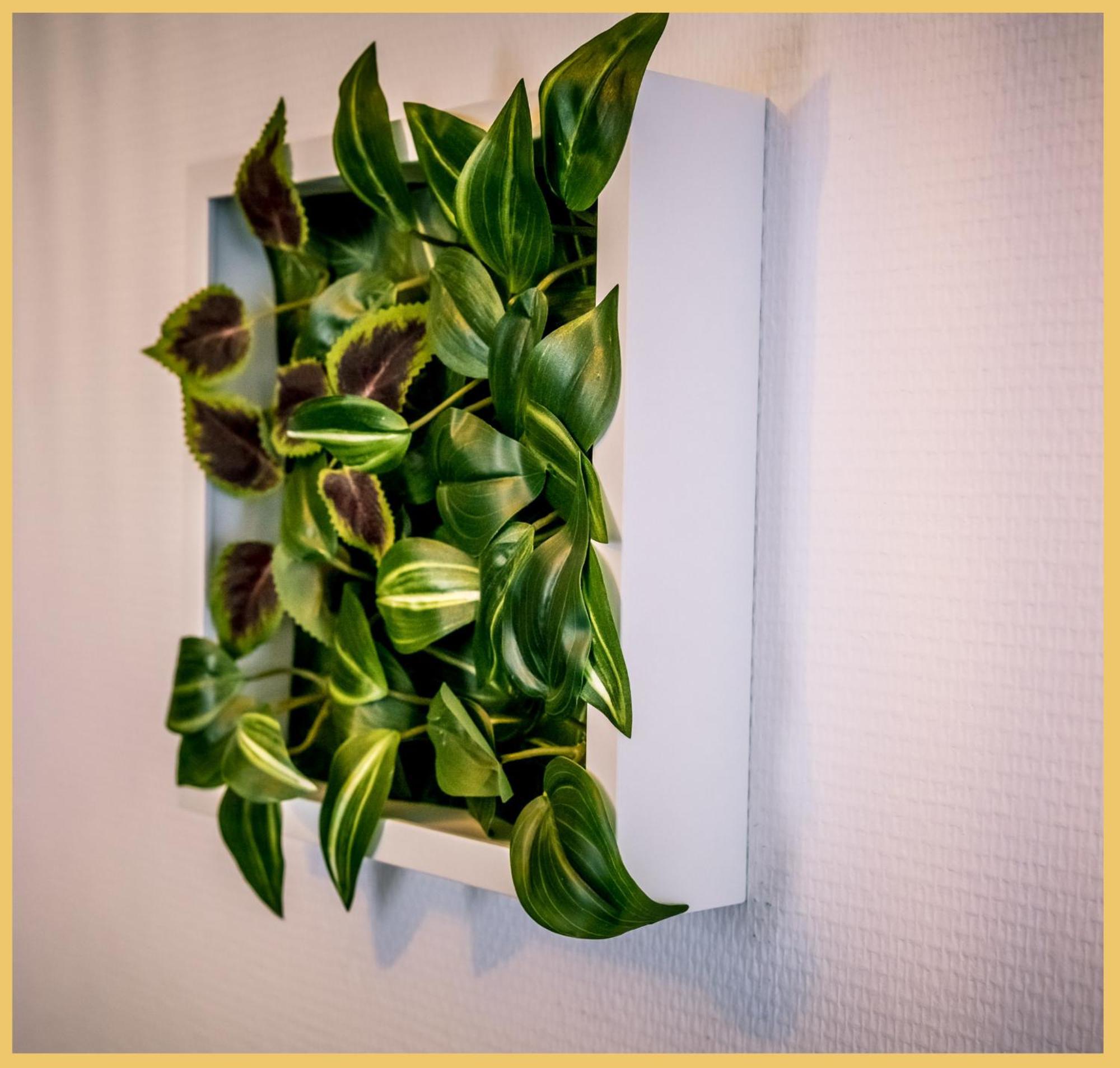 Chez Chris I T2 I Apartamento Annemasse